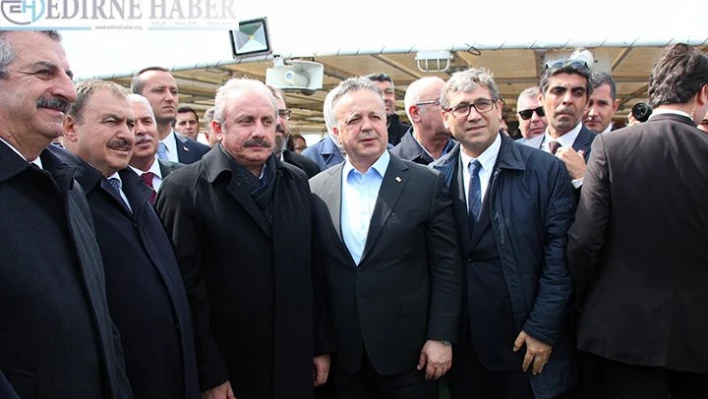 'Dünyanın en büyük çevre projesi'