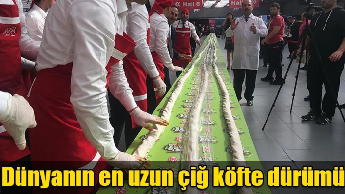 Tam 231 metre