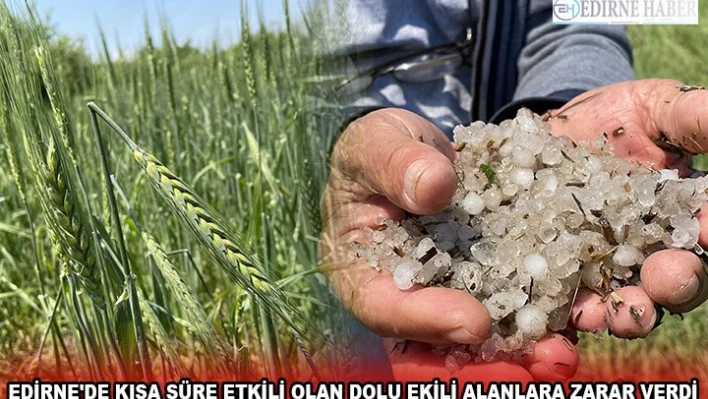 EDİRNE'DE KISA SÜRE ETKİLİ OLAN DOLU EKİLİ ALANLARA ZARAR VERDİ