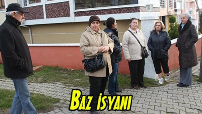 Baz isyanı