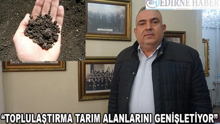 Toplulaştırma tarım alanlarını genişletiyor