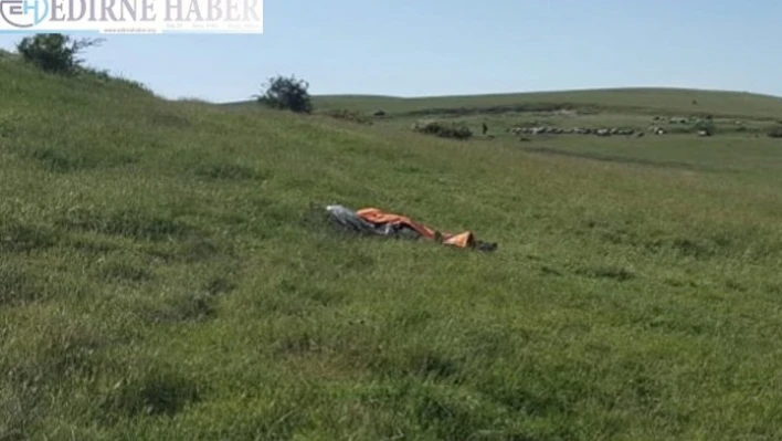 Arıların kurbanı oldu