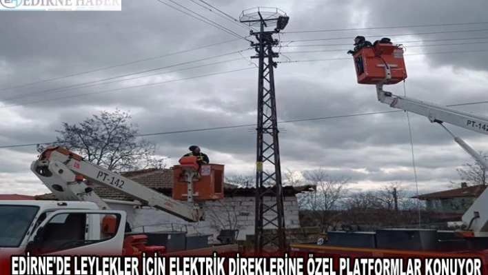 EDİRNE'DE LEYLEKLER İÇİN ELEKTRİK DİREKLERİNE ÖZEL PLATFORMLAR KONUYOR