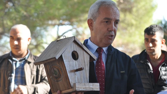 Kuş yuvaları astılar