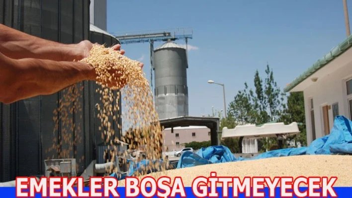 Endişeye gerek yok, tamamı alınacak