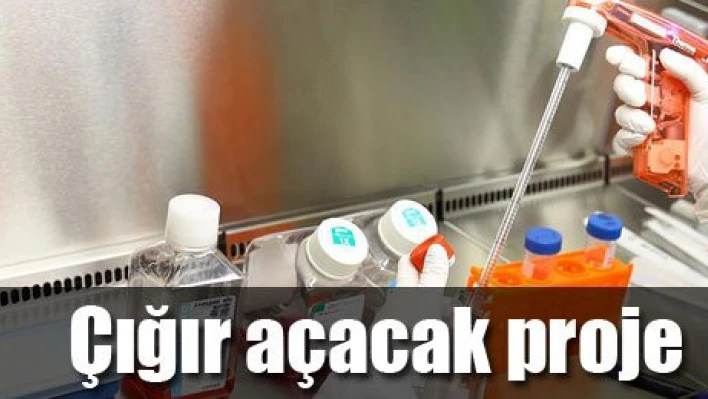 Milyar dolarlık proje