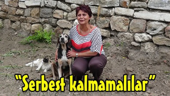 'Serbest kalmamalılar'