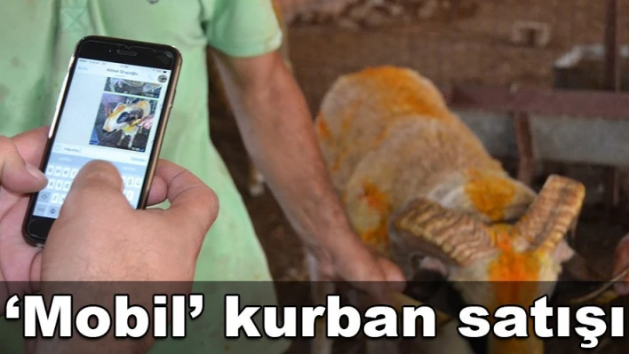 Teknoloji her alanda