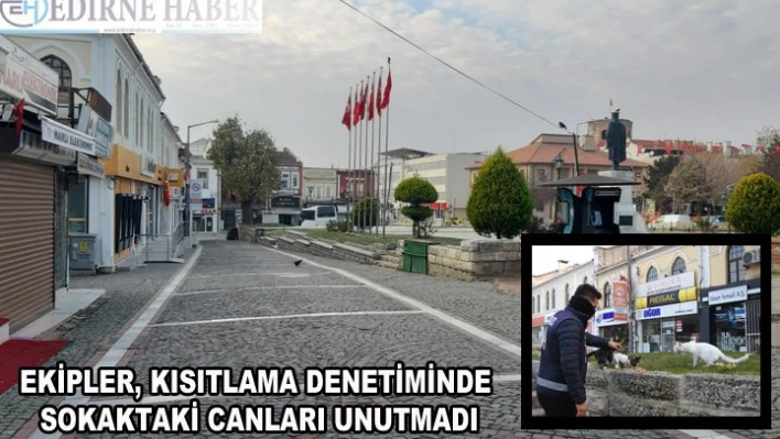 Ekipler, kısıtlama denetiminde sokaktaki canları unutmadı