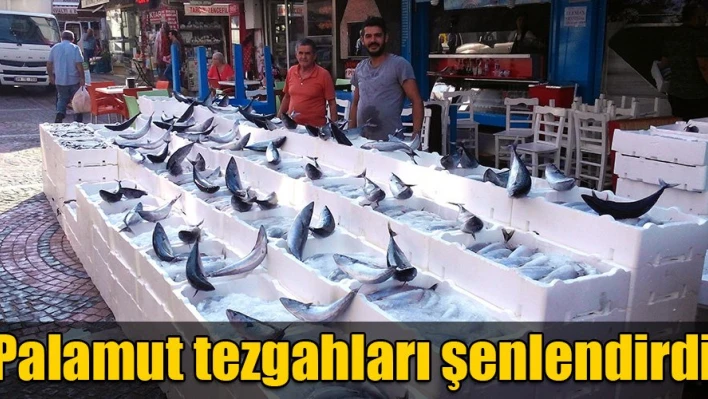 Denizden palamut yağdı