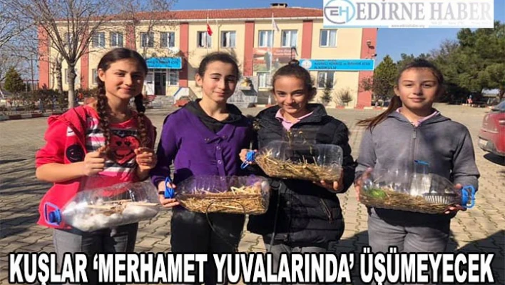 Kuşlar 'merhamet yuvalarında' üşümeyecek
