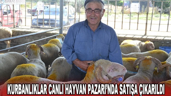 Kurbanlıklar Canlı Hayvan Pazarı'nda satışa çıkarıldı