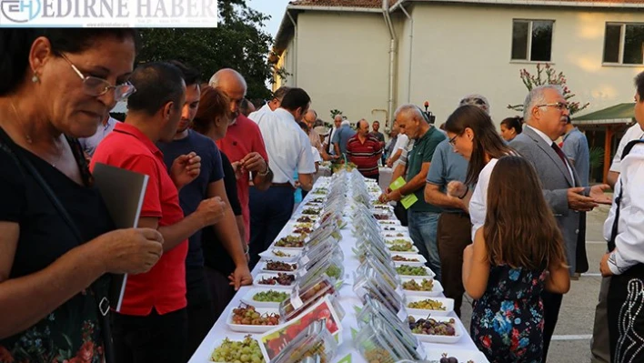 4. Trakya Bağ Bozumu ve Ekoloji Festivali