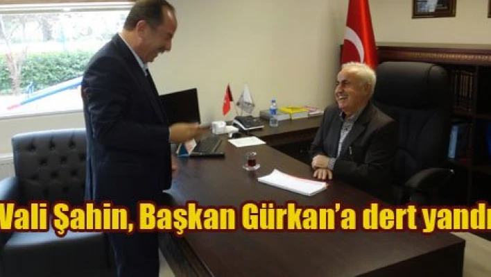 Vali Şahin'in tavuklarını kim yedi?