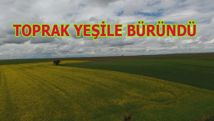 Topraklar renklendi