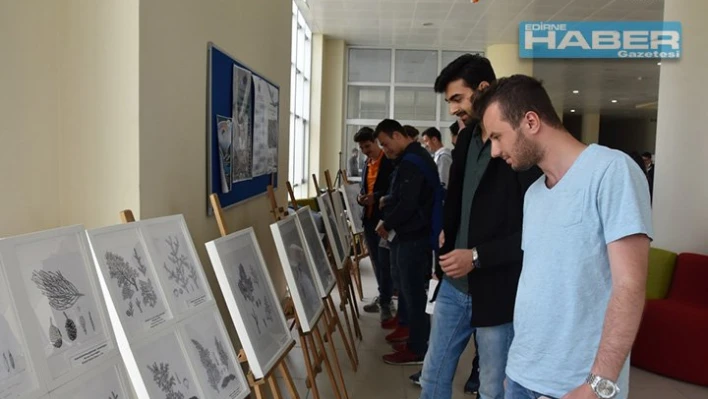 Bitki Ressamları Karma sergisi açıldı