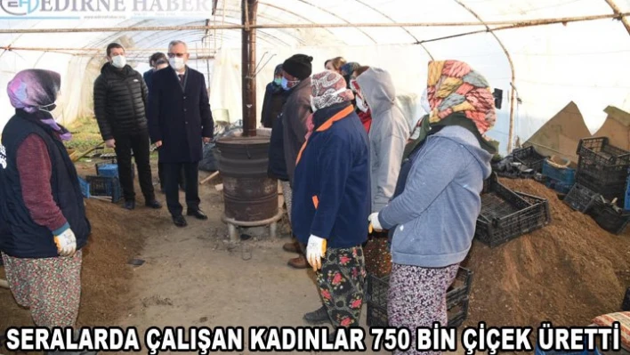 Seralarda çalışan kadınlar 750 bin çiçek üretti.Â 
