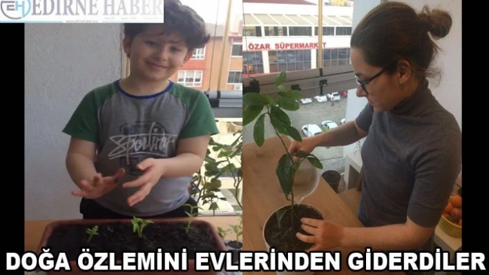 Doğa özlemini evlerden giderdiler