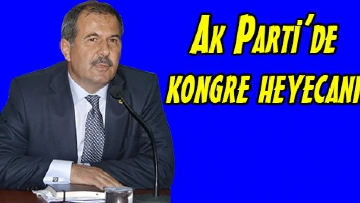 Ak Parti'de kongre heyecanı