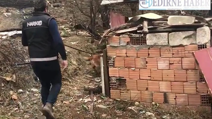 Tekirdağ'da uyuşturucu operasyonunda 10 şüpheli gözaltına alındı
