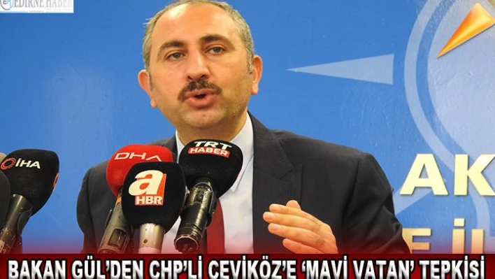 â€˜Mavi Vatan' diyoruz ve sorunlar çözülmeden önleyici politikalar izliyoruz'