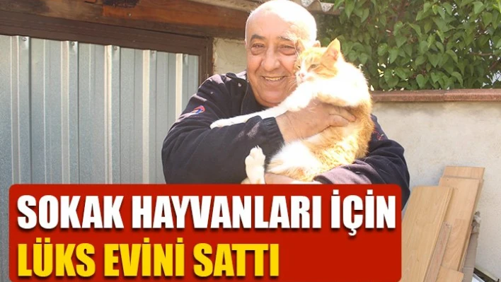 Hayvan sevgisinin böylesi