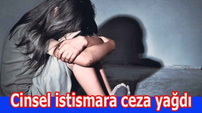 Cinsel istismara ceza yağdı