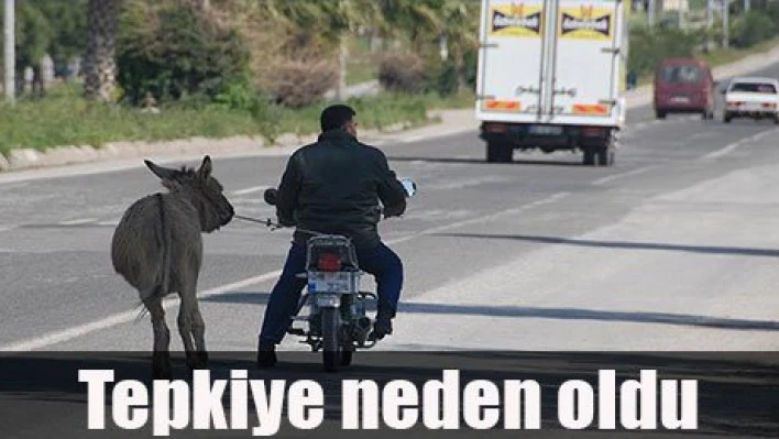 Tepkiye neden oldu