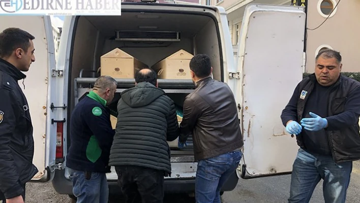  Azerbaycan uyruklu kadını bıçakla öldüren zanlı polise teslim oldu