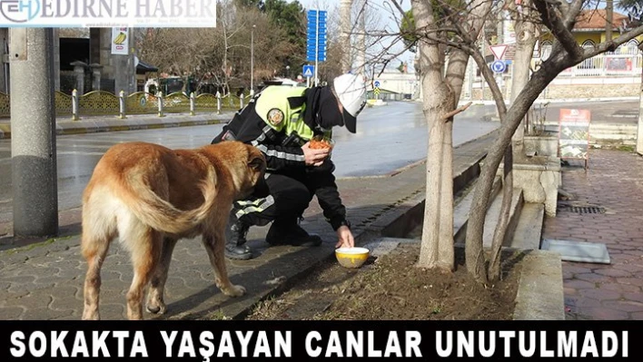 Sokakta yaşayan canlar unutulmadı
