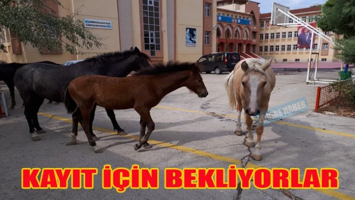 Kayıt için gittiler