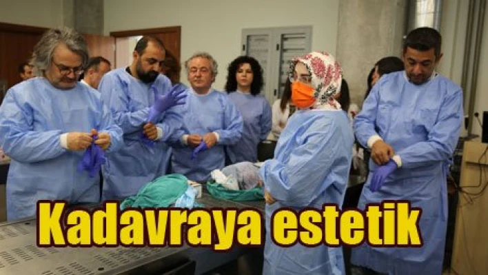 Kadavra üzerinde estetik