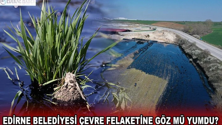 Edirne Belediyesi çevre felaketine göz mü yumdu?