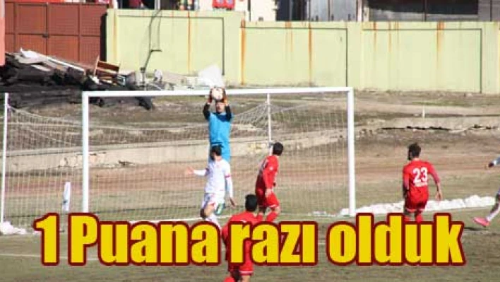 Umduğumuzu bulamadık