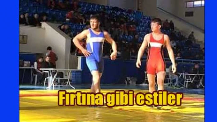 5 pehlivana Türkiye Şampiyonası vizesi