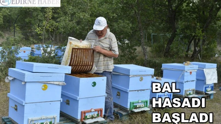 Bal hasadı başladı