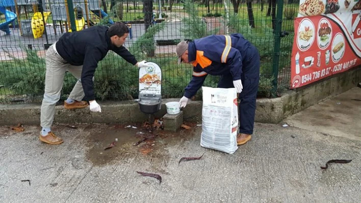 Sokak hayvanlarını unutmadılar