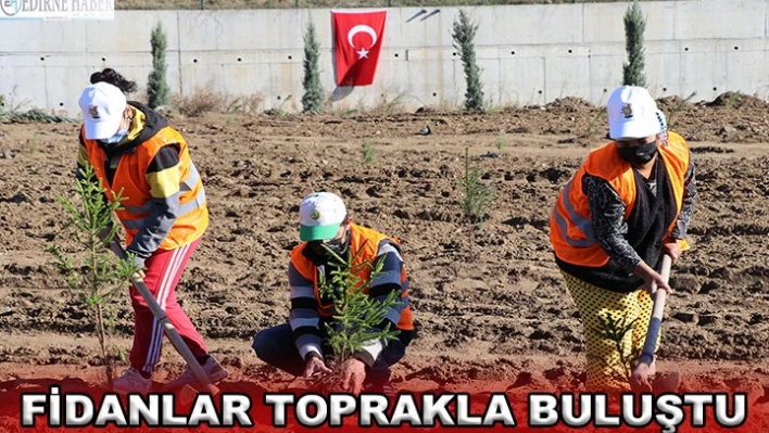 Fidanlar toprakla buluştu