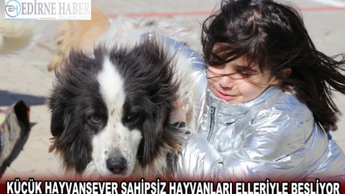 Küçük hayvansever sahipsiz hayvanları elleriyle besliyor