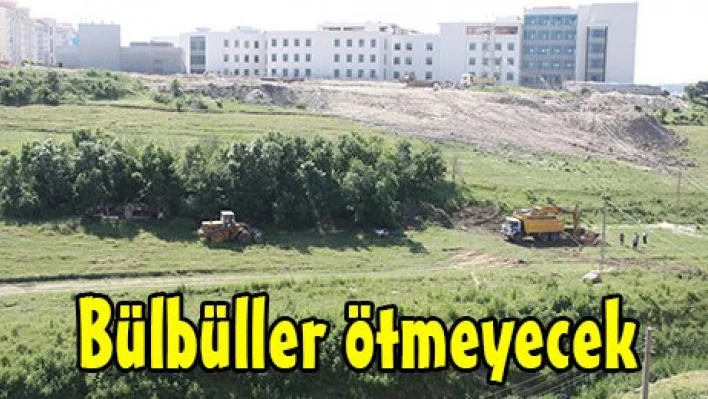Bülbüller ötmeyecek