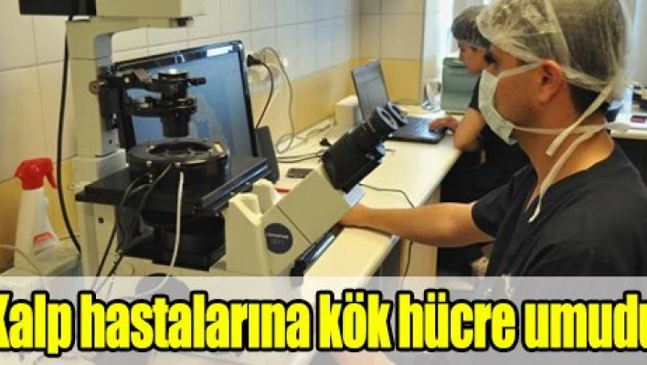 Kalp hastaları için kök hücre umudu