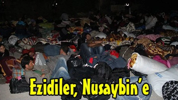 Ezidiler, Nusaybin'e