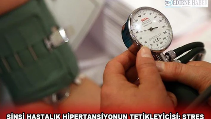 SİNSİ HASTALIK HİPERTANSİYONUN TETİKLEYİCİSİ: STRES