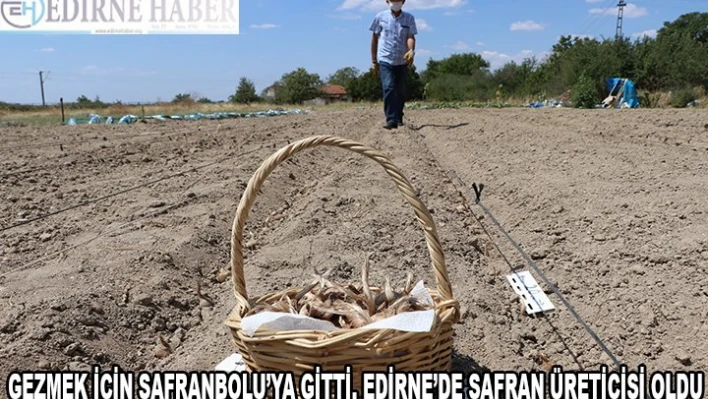 Gezmek için Safranbolu'ya gitti Edirne'de safran üreticisi oldu