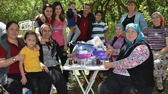 Dallık Şenlikleri yapıldı