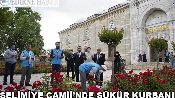 Selimiye Camisi'nde şükür kurbanı kesildi