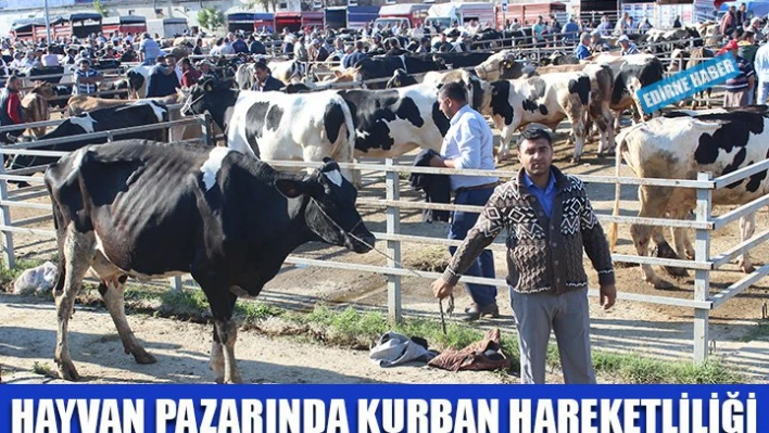 Hayvan pazarı hareketlendi