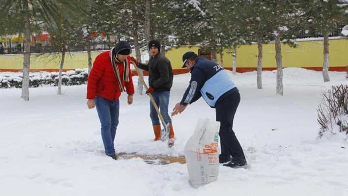 Sokak hayvanları aç kalmadı