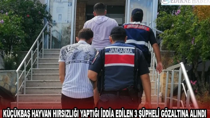 Küçükbaş hayvan hırsızlığı yaptığı iddia edilen 3 şüpheli gözaltına alındı