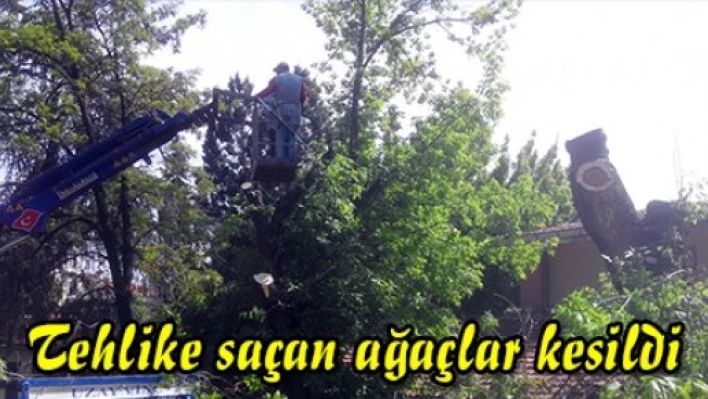 Tehlike saçan ağaçlar kesildi